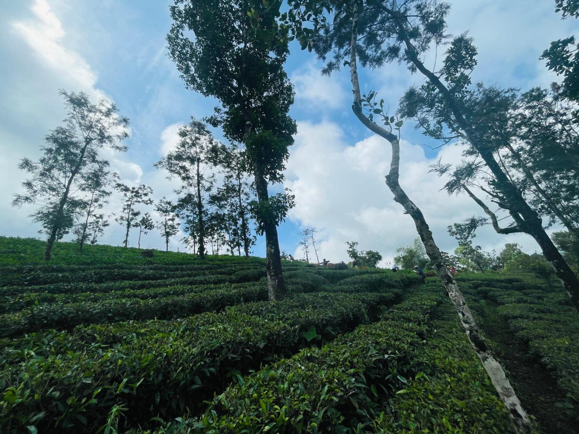 Best Mist Idukki Esterno foto