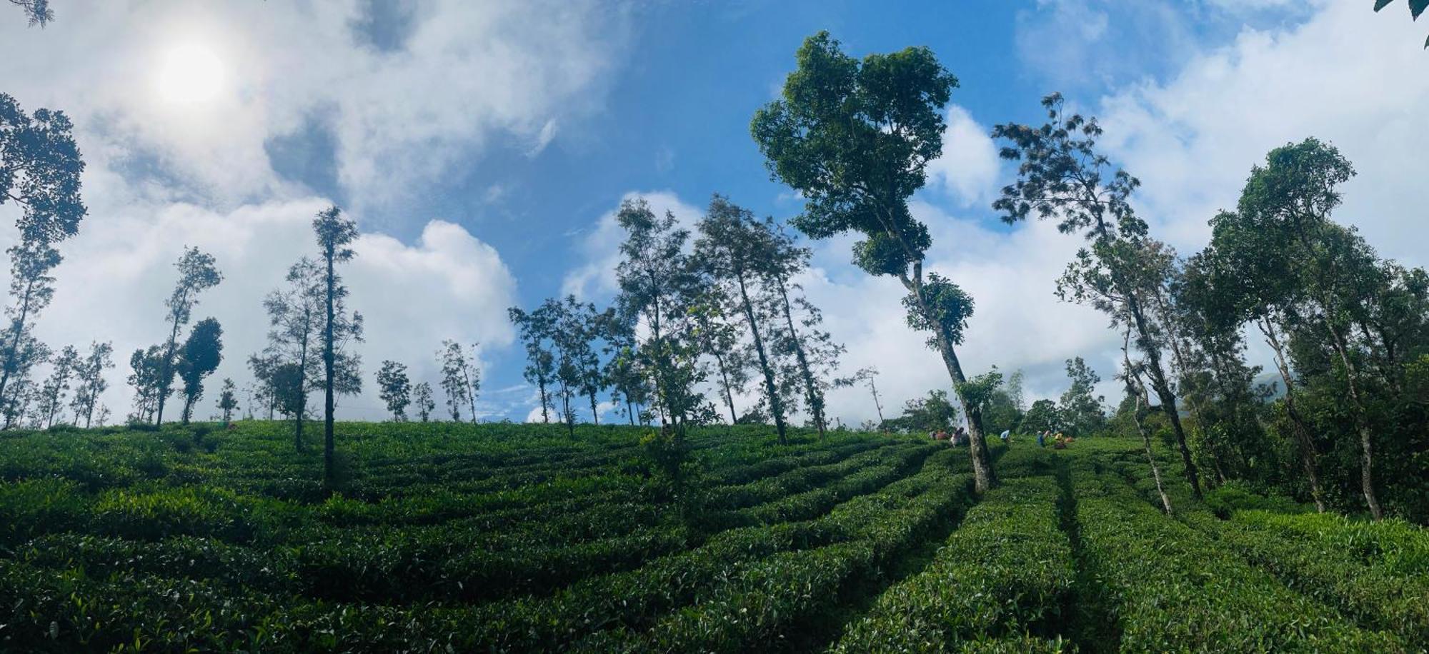 Best Mist Idukki Esterno foto