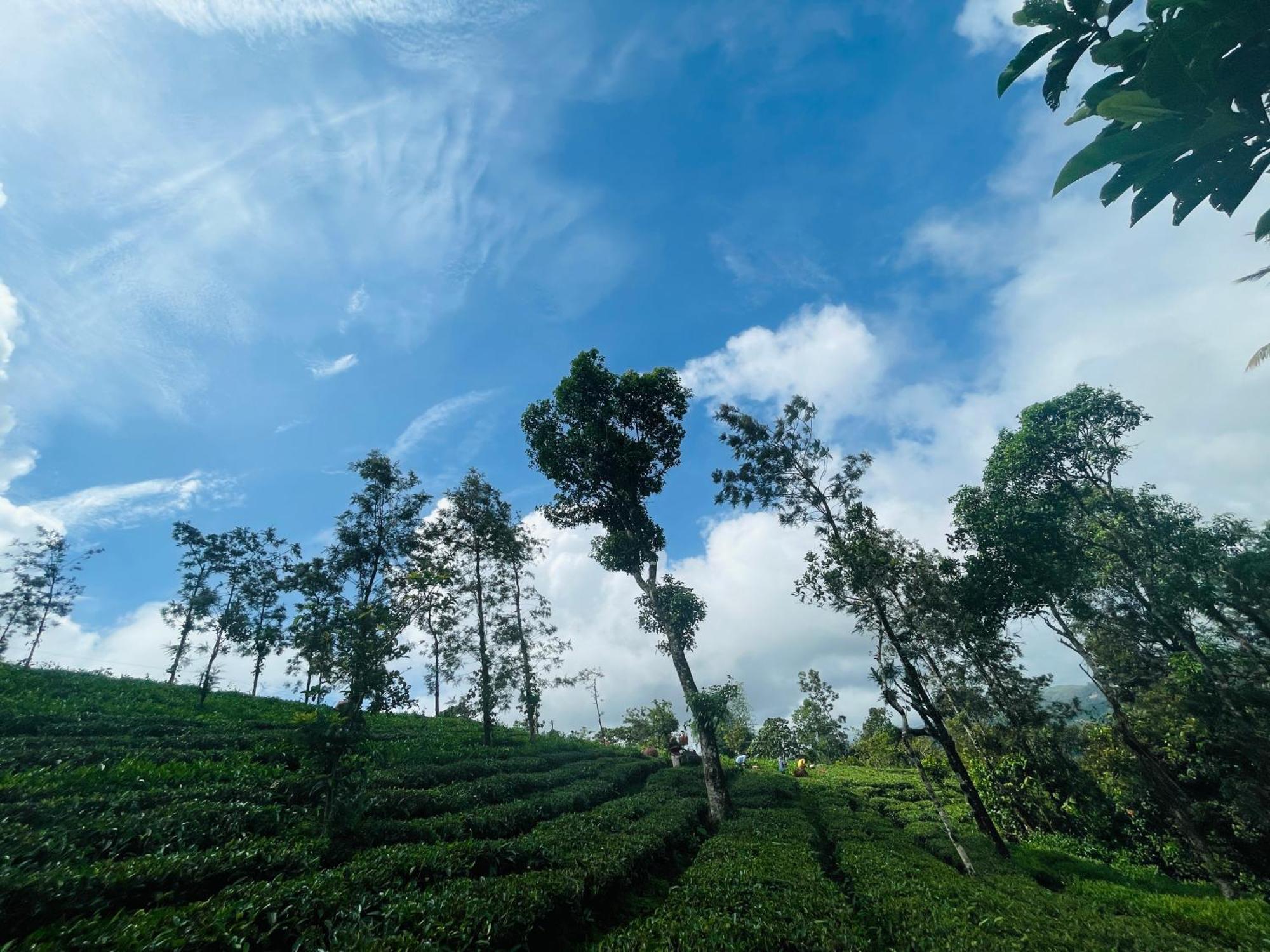 Best Mist Idukki Esterno foto