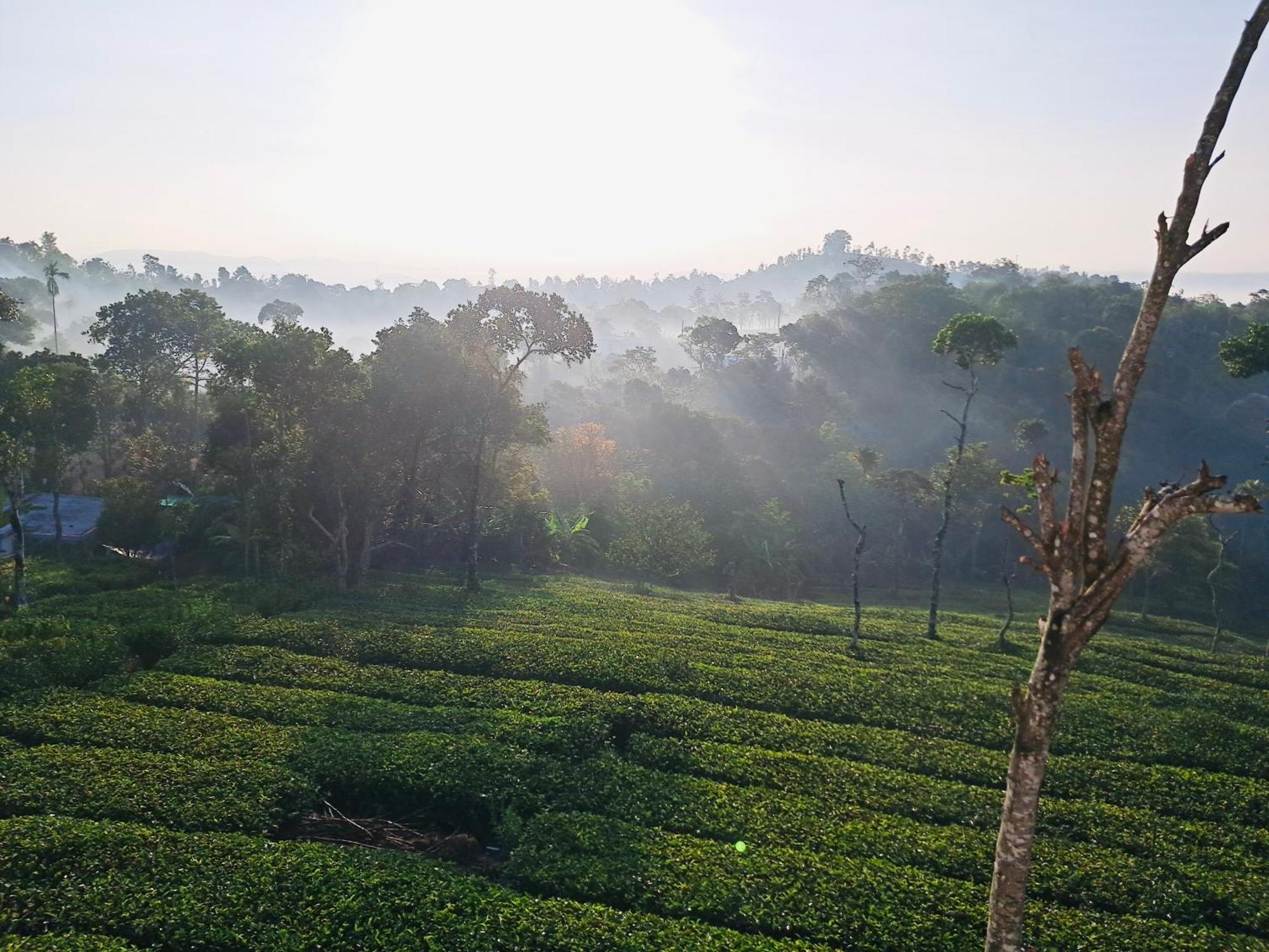 Best Mist Idukki Esterno foto